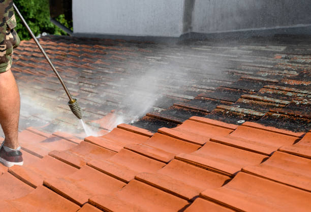 Best Deck Cleaning Services  in Nettleton, MS