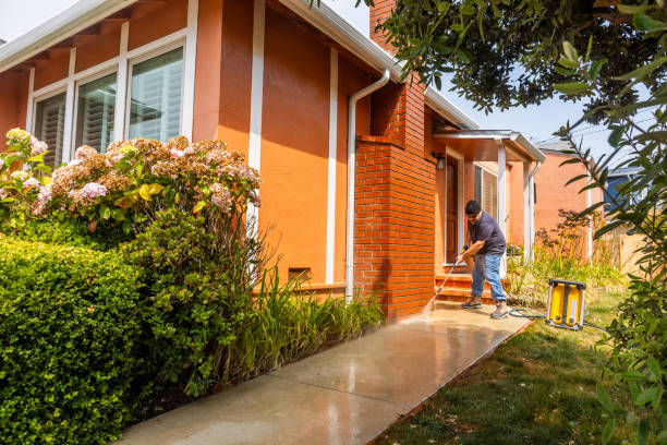 Best Deck Cleaning Services  in Nettleton, MS